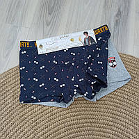 Труси-боксери для хлопчика Harry Potter набір 2 шт дитяча білизна арт.23538