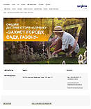 Протруйник Селест ТОП ОРИГІНАЛ! Syngenta 100, фото 2