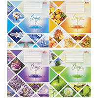 Від 16 шт. Зошит кольоровий 48 аркушів, клітинка 3809 N  купити дешево оптом в інтернет-магазині