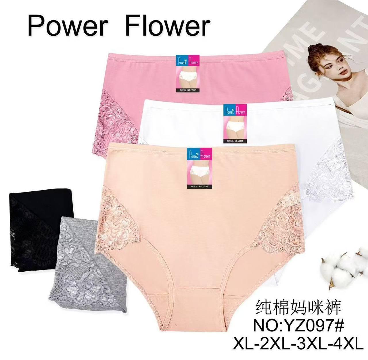 Труси жіночі