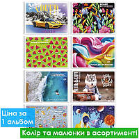 Альбом для малювання на спіралі САВ-1 обкл. повнокол. картон + ВД-лак 100г/м2 20л. в асорт.