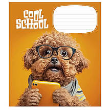 Зошит 24 арк. клітинка "STAR" / Cool School, фото 4