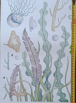 Наклейки у ванну Рибки Червоного моря Русалка (лист 60 х 90 см) Б57-12, фото 3