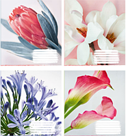 Тетрадь ученическая общая 96 л., клетка, Полиграфист "Гарні квіти" 929