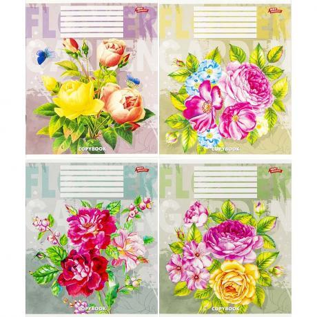 Зошит кольоровий 24 аркуша, лінія 3818D MZOPT