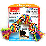 Іграшка для собак "Кольоровий канат із вузлами" Petstages Multi Rope Chew арт.228, фото 3