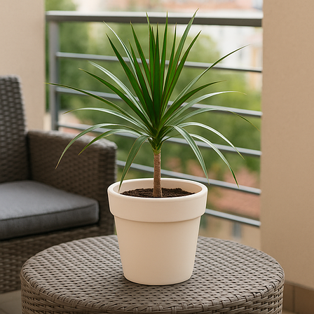 Горщик для квітів Алеана Гамма 12 л Біла троянда (32×27 см, пластик), фото 1