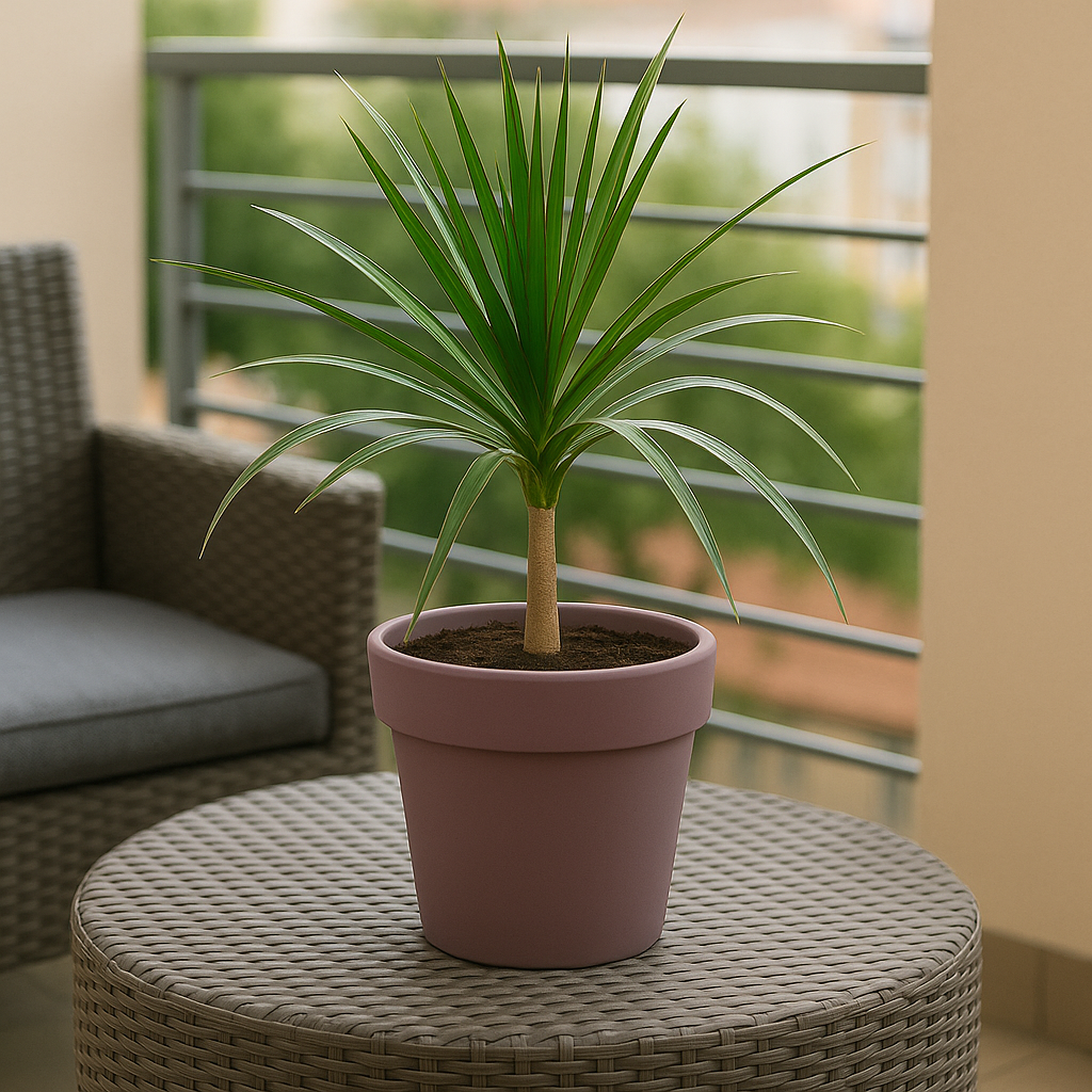 Горщик для квітів Алеана Гамма 7 л Какао (26×22 см, пластик)