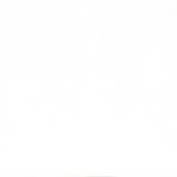 СТ-30 Біла Аляска, фото 2