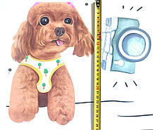 Наклейка вінілові Собачки Smile (лист 60 х 90 см) Б27-3, фото 4