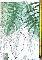 Вінілові наклейки Великі зелене листя папороті (лист 60 х 90 см) Б79-12, фото 3