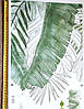 Вінілові наклейки Великі зелене листя папороті (лист 60 х 90 см) Б79-12, фото 6