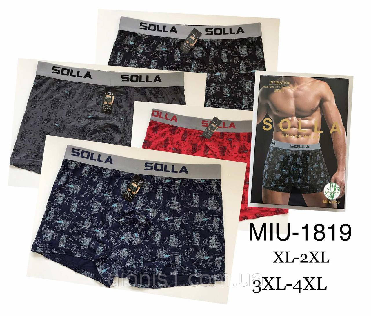 Чоловічі труси-боксери, ХL-2XL + 3XL-4XL, фото 1