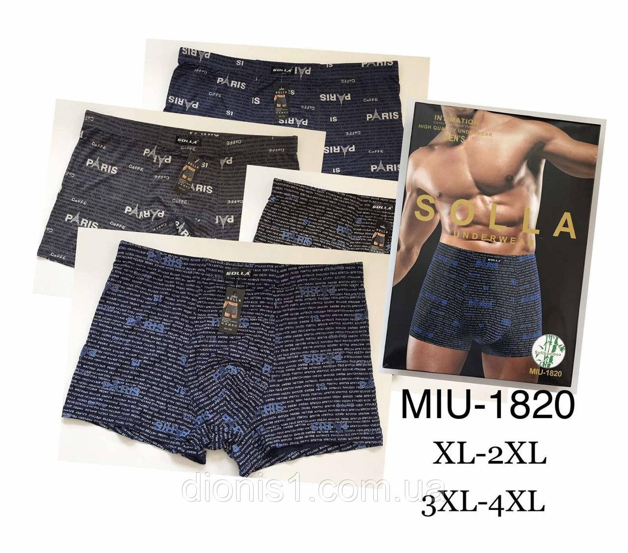 Чоловічі труси-боксери, ХL-2XL + 3XL-4XL, фото 1