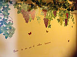 Вінілова наклейка "Грона винограду", фото 8