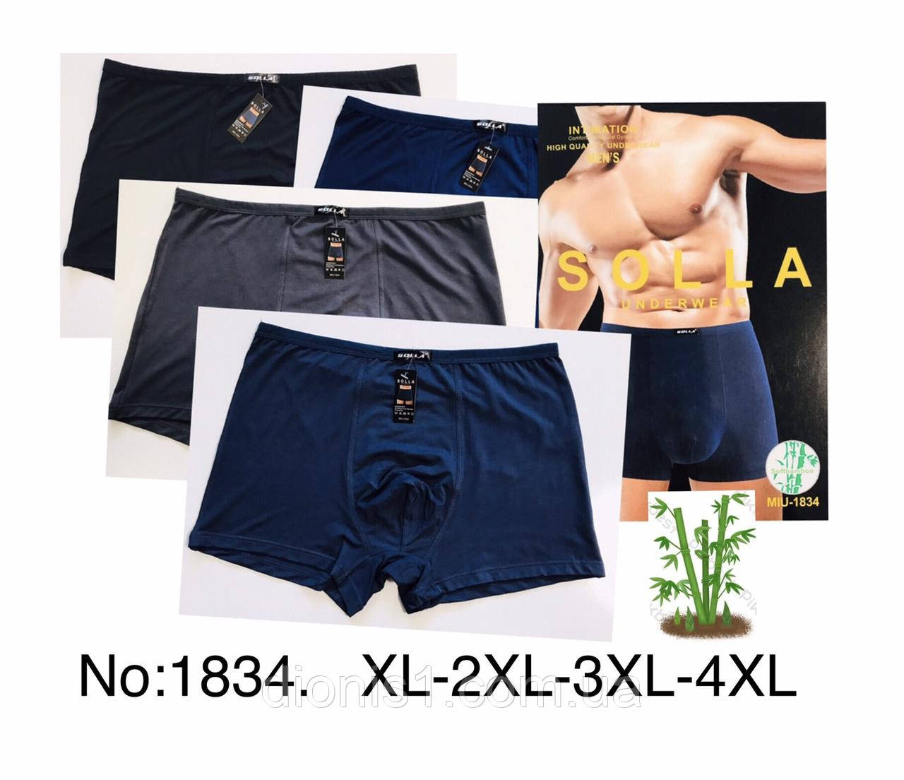 Чоловічі труси-боксери, XL-2X- 3XL-4XL, фото 1