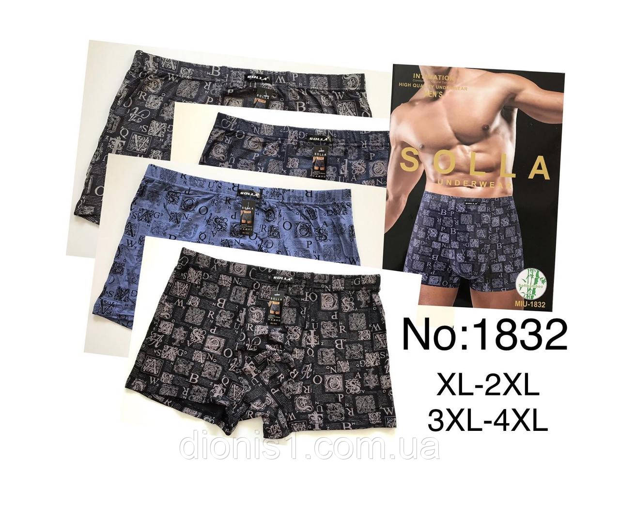 Чоловічі труси-боксери, XL-2X- 3XL-4XL, фото 1