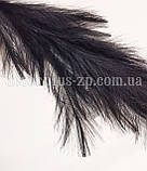 Трава помпасна штучна. 120см. Чорна, фото 2