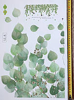 Наклейка на стіну Зелені рослини що звисають (лист 60 х 90 см) Б296-27, фото 5