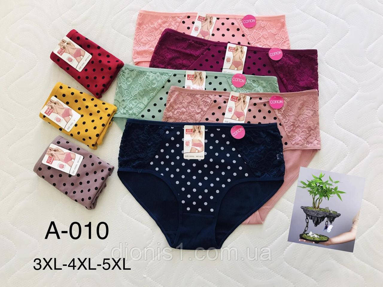 Жіночі бавовняні труси 95% бавовна 5% спандекс, 3XL-4XL-5XL, фото 1