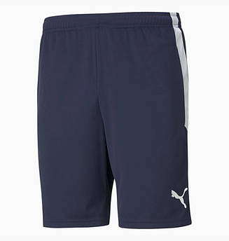 Шорти Puma Teamliga Training Shorts Blue 657249-06, Синій, Розмір (EU) — L