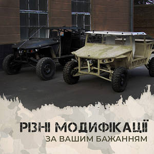 Баггі задній привід