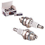 Свічки запалювання