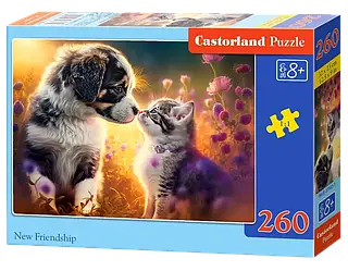 Пазл Castorland Нова дружба 260 елементів