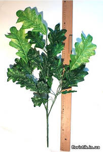 Гілка дуба, зелений лист