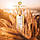 Парфуми унісекс Mancera Melody of the Sun, фото 3