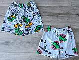Шорти  кулір  для хлопців 1/4 роки; Гурт. Україна, фото 2