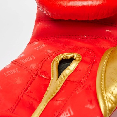 Боксерські рукавиці Leone