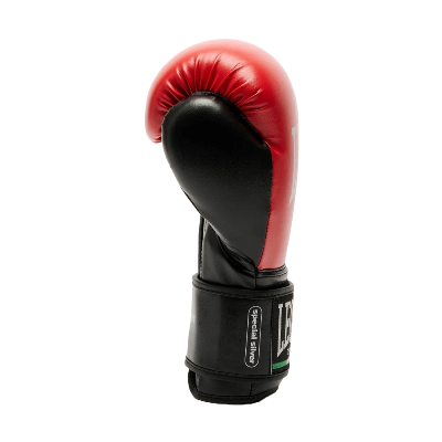 Боксерські рукавиці Leone