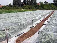 Белое агроволокно GROWTEX 30 г/м² 4.2х50 м для теплиц, Украина