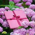 Фото на холсті 60×70 см — матове покриття, фото 5