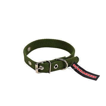 Нашийник брезентовий Пухнастики, зелений 20 мм/38см