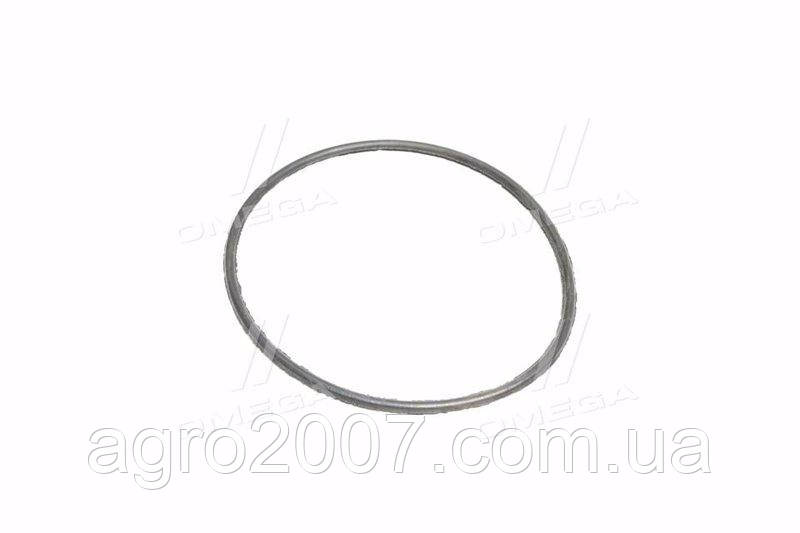 095-100-30-2-3 Кільце ущільне 93 х3  (Кауч.2297), фото 1