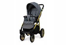 Дитячий візок BabyLux COLORLUX 2-в-1, фото 4