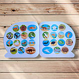 Пізнавальні наліпки Тварини Австралії Авт: Алліна О. Вид: Торсінг, фото 3