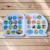 Пізнавальні наліпки Тварини Африки Авт: Алліна О. Вид: Торсінг, фото 3