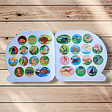 Пізнавальні наліпки Тварини Північної Америки Авт: Алліна О. Вид: Торсінг, фото 3