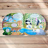 Пізнавальні наліпки Тварини Євразії Авт: Алліна О. Вид: Торсінг, фото 2