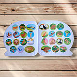 Пізнавальні наліпки Тварини Євразії Авт: Алліна О. Вид: Торсінг, фото 3