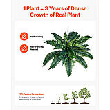 Штучна бостонська папороть VEVOR Пластикова папороть 30 гілок Декорація 2 шт. 300486, фото 4
