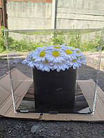 Букет з атласних стрічок в акриловому кубі ромашки