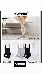 Шкарпетки жіночі бавовняні / розмір 36-41 / короткі / 10 шт в упаковці / весна-літо