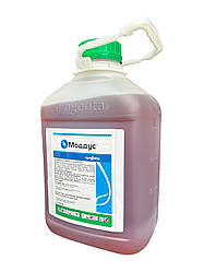 Регулятор росту Моддус Syngenta - 5 л