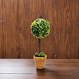 Штучне дерево Самшит, 50 см (960057), фото 2