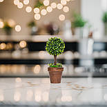 Штучна рослина дерево, Самшит, зелений, 20 см, пластик (960323), фото 6