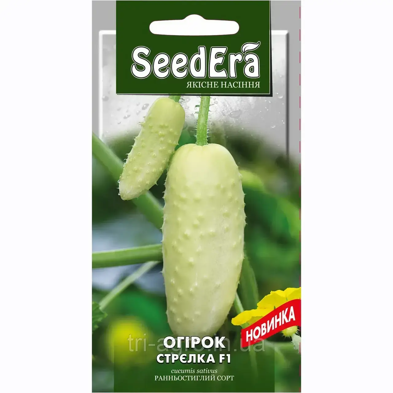 Огірок Стрілка F1 10шт. (SeedEra)